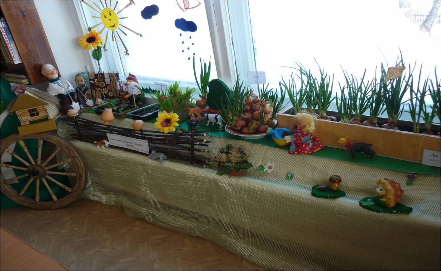 Экологический уголок на окне в детском саду